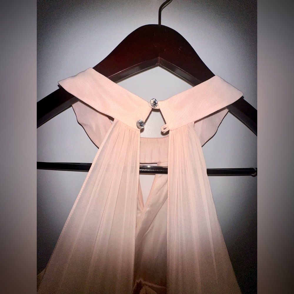 Elegant Peach Evening Gown - bridesmaids dress - Picture 8 of 8